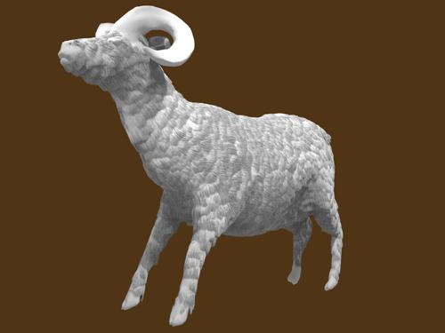 Ram Sheep preview image